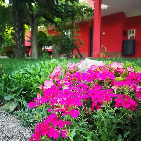 Franca Apartmán