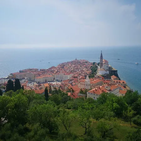 Apartman Franca